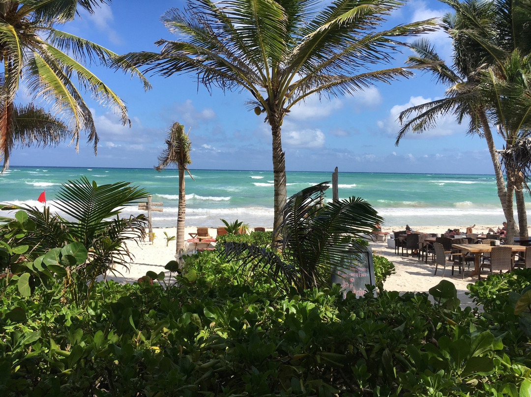 Ziggy’s Beach Club