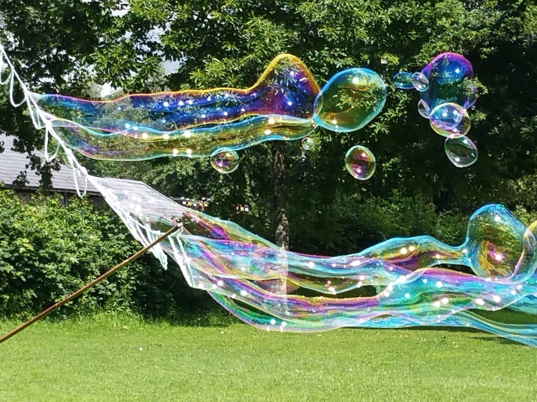 Dr Zigs Extraordinary Bubbles景点图片