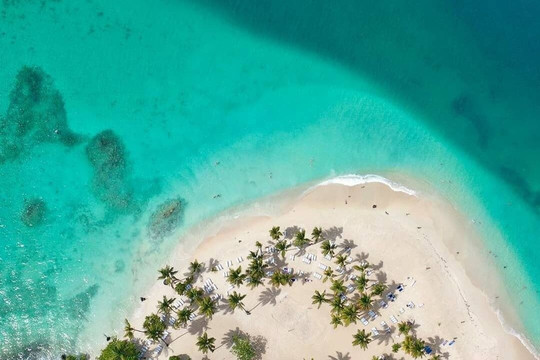 Punta cana Whale Watching - Cap Cana or Bavaro