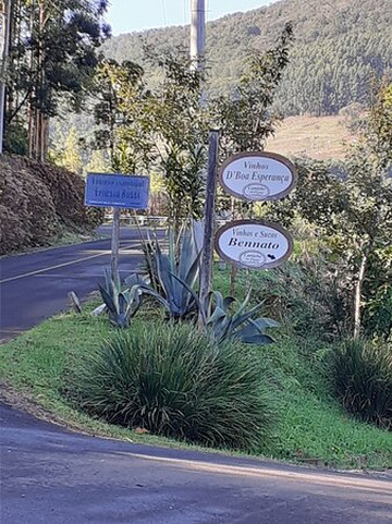 Vinicola Bennato-Rolante必去景点