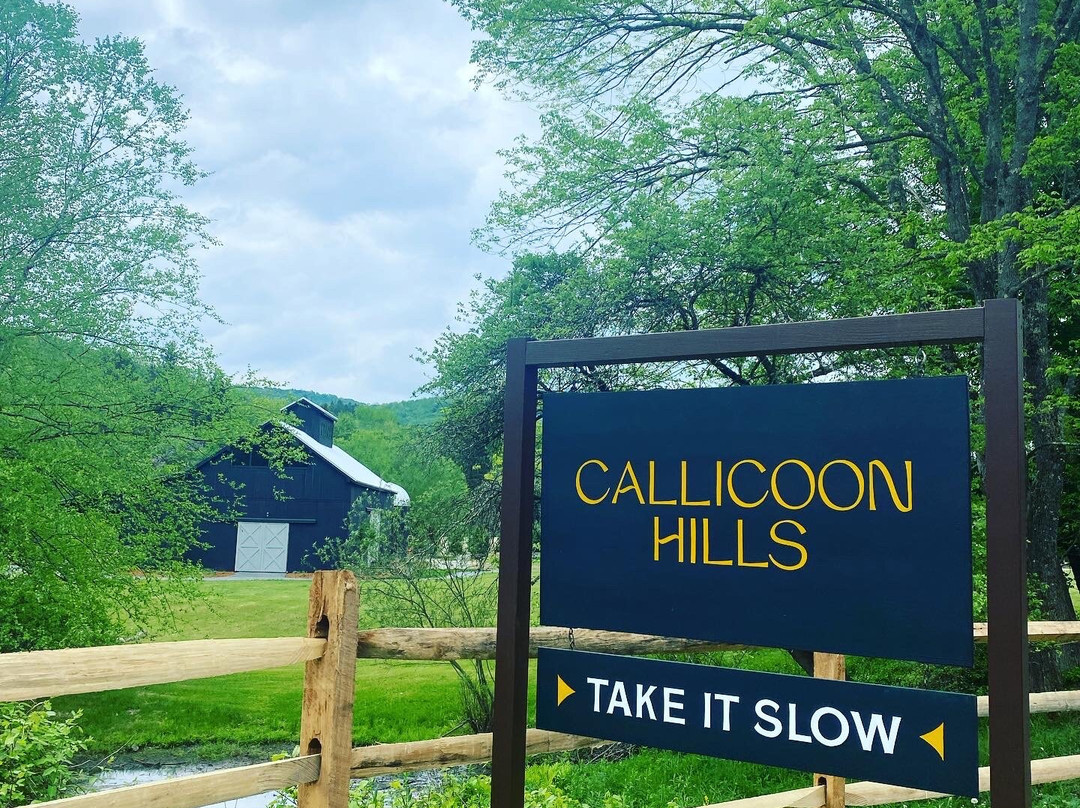 Callicoon Hills主图