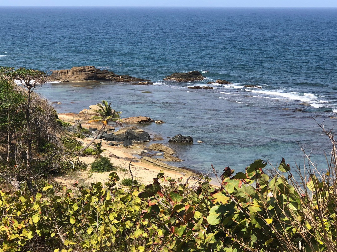 Punta Yeguas Beach景点图片