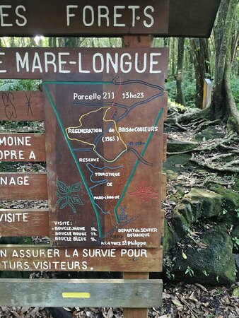 Foret de Mare Longue景点图片