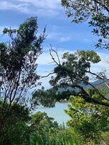 Naufragados Beach-弗洛里亚诺波利斯必去景点