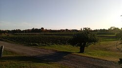 Brookdale Fruit Farm景点图片