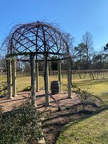 Wild Stallion Vineyards-斯普林必去景点