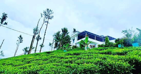 Villa Tesori-官方