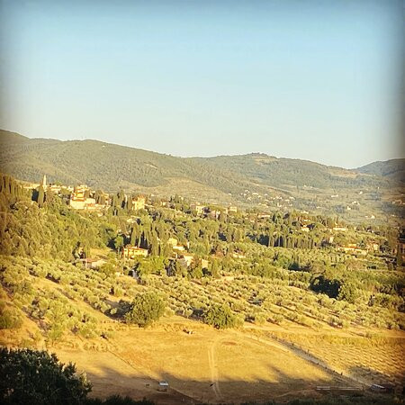 Fattoria Di Maiano主图