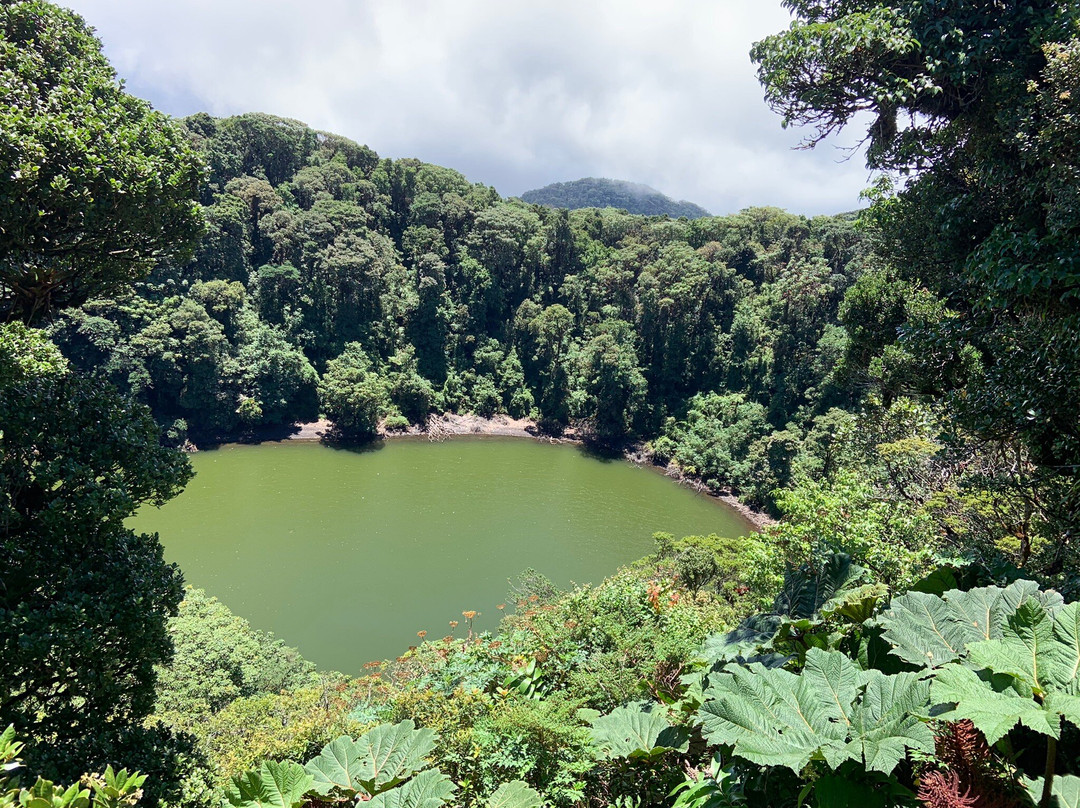 Volcán Barva景点图片