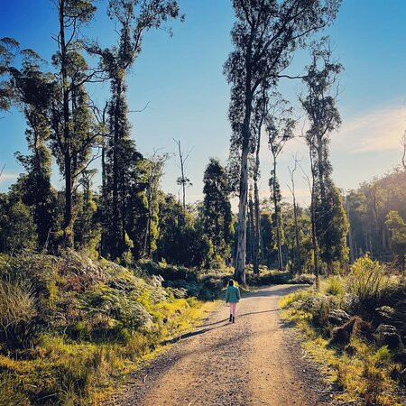 沃伯顿汽车旅馆主图