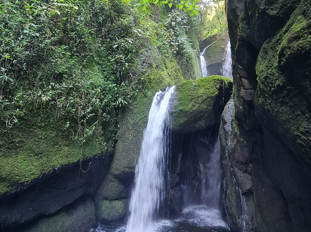 Cachoeira das Andorinhas-Sao Francisco Xavier必去景点
