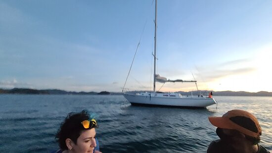 Noa Noa Surfari Sailing景点图片