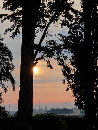 Hammenhögs Gästgivaregård主图