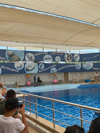 Aksu Dolphinarium景点图片