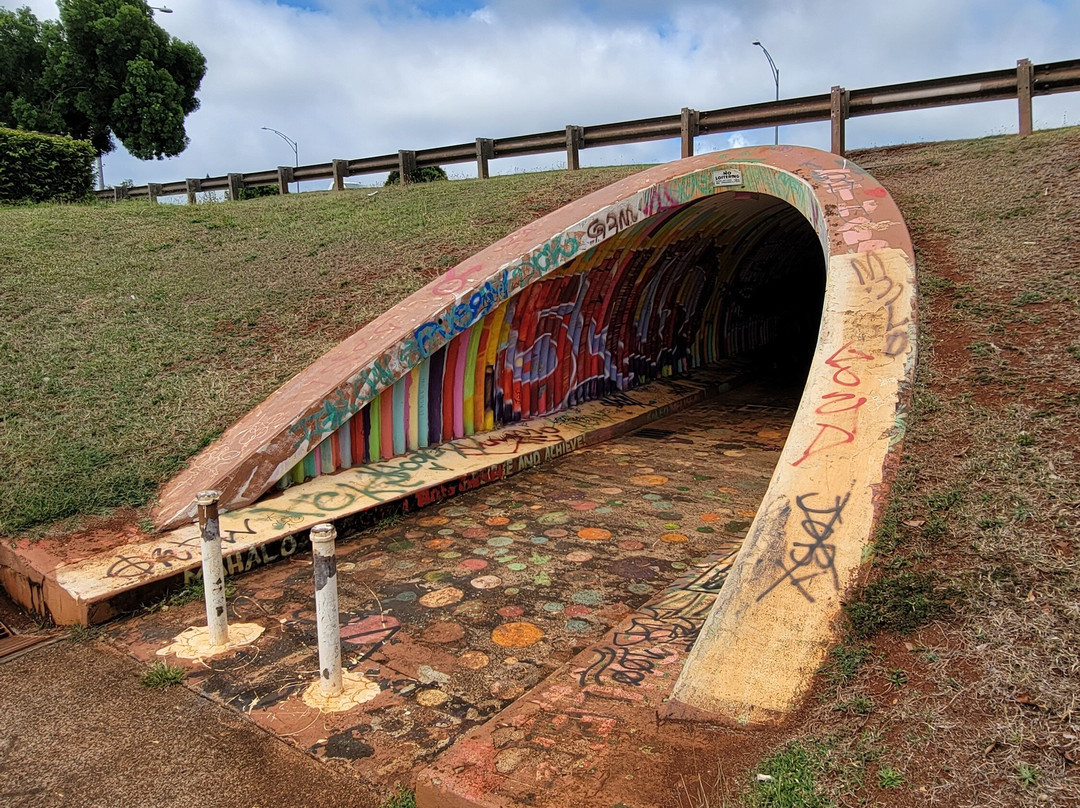 Rainbow Tunnel景点图片