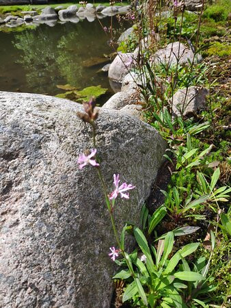 Bangsbo Botaniske Have-腓特烈港必去景点