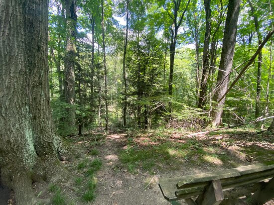 Whitlam Woods-Chardon必去景点