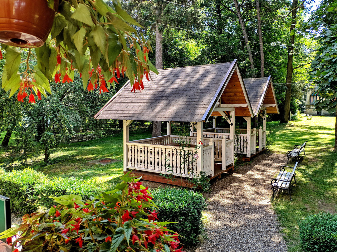 Dofteana Park