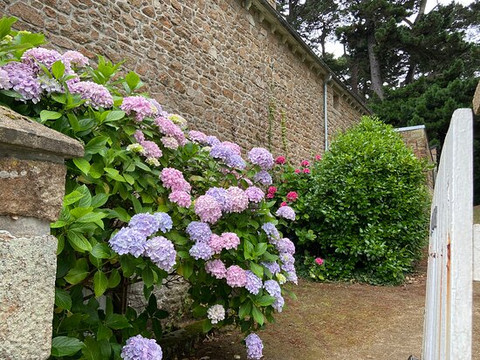 La Vieille Auberge主图