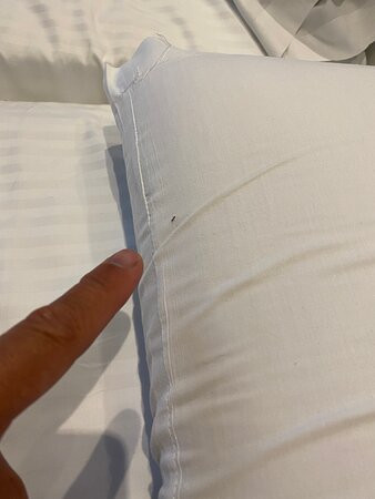 Hotel Malaga Nostrum主图