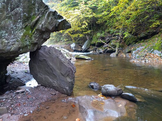 Little Carp River Trail景点图片