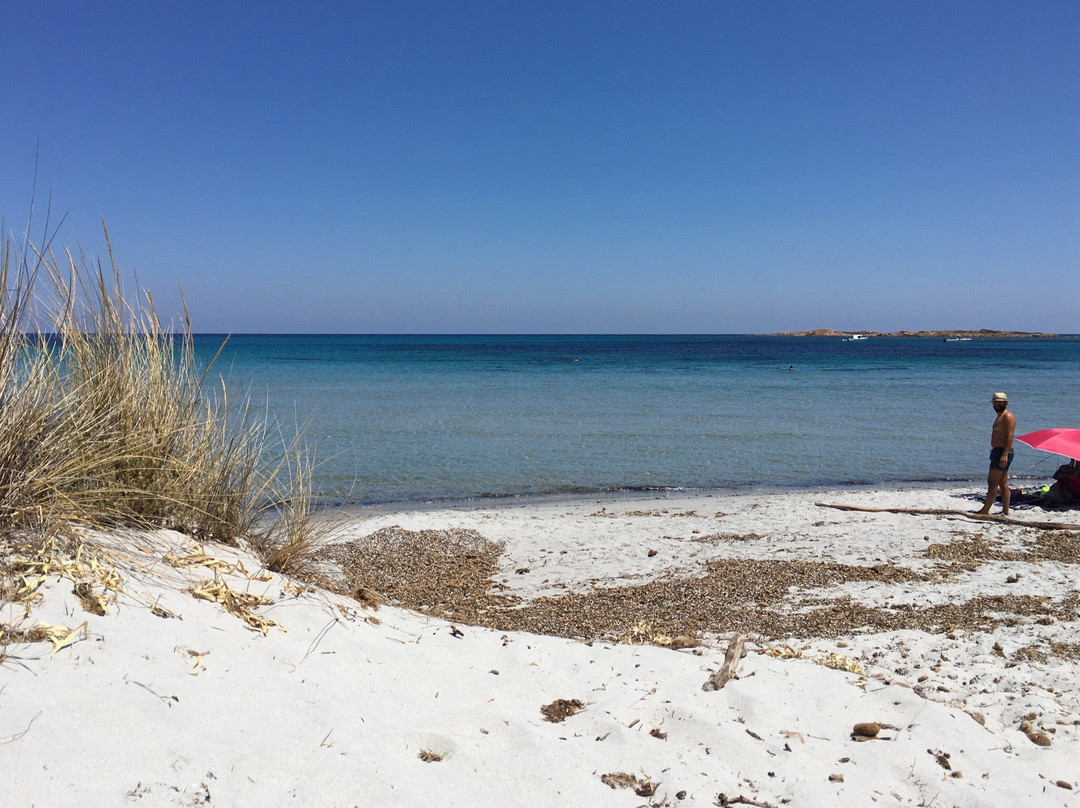 S'Ena e Sa Chitta酒店住宿-Muriska