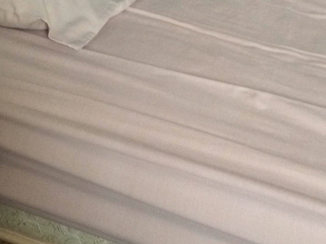 St Anne's Road Guest House主图