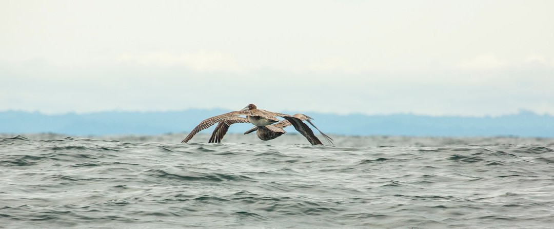Posada Mar y Rio主图