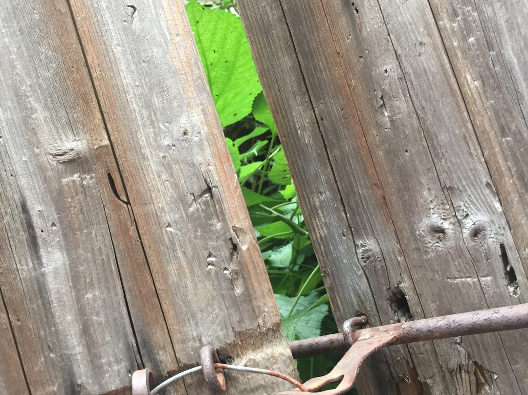 九月徽州客栈主图