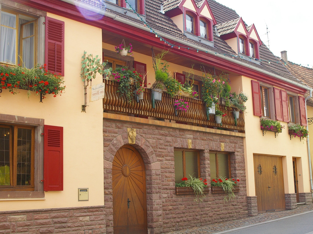 Domaine Aimé Stentz-维特塞姆必去景点
