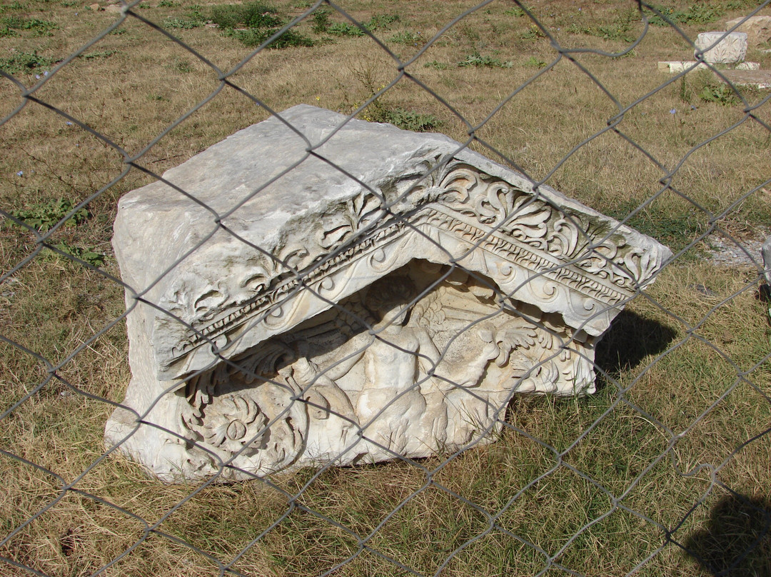 Parion Aktık Kenti景点图片