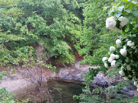 长海县旅游攻略图片
