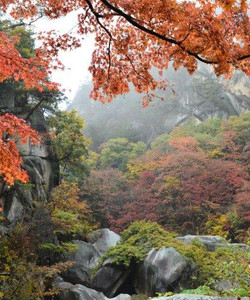Shosen Valley景点门票图片