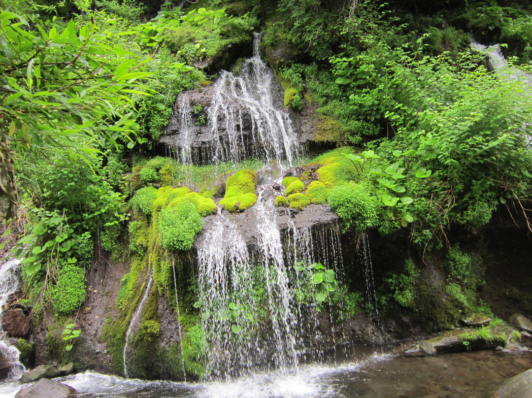 Doryuno Falls景点图片