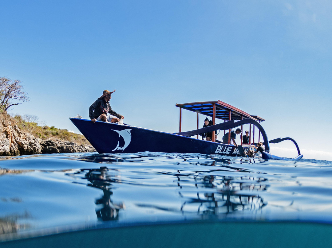 Blue Marlin Dive Kuta Lombok-Kuta必去景点