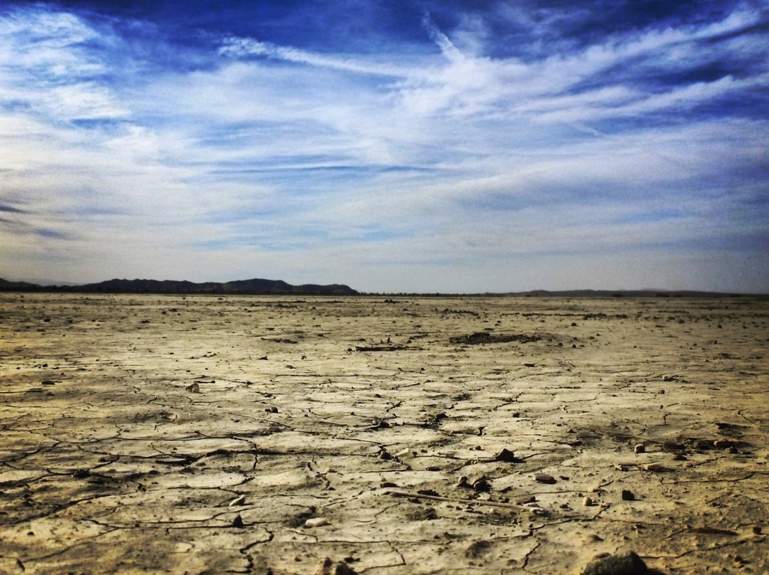 El Mirage旅游攻略图片