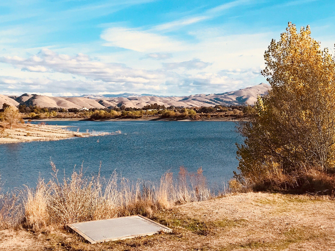 费利蒙旅游攻略图片