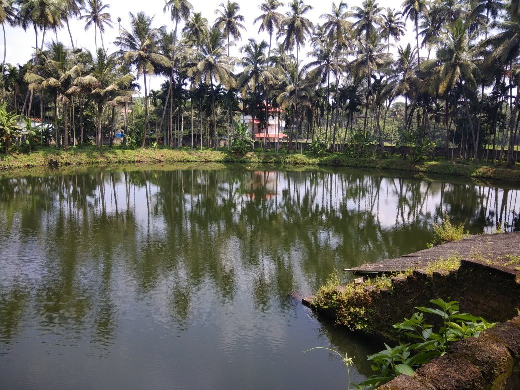 null-Ottapalam
