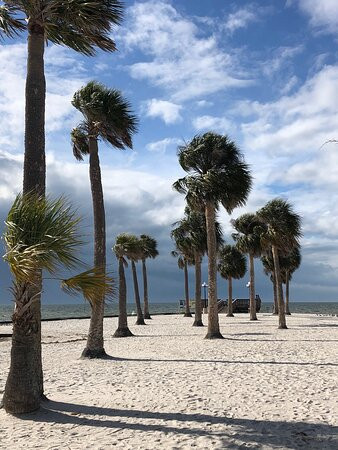 Alfred McKethan Pine Island Park景点图片