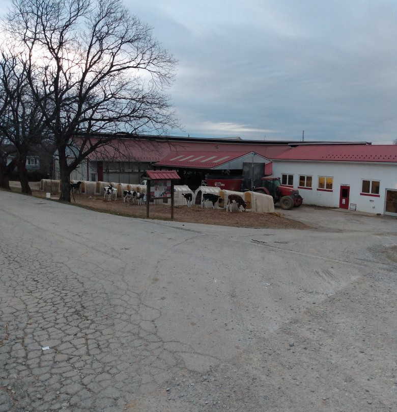 Perrydell Farm Dairy景点图片