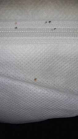 Quality Inn & Suites Dixon near I-88主图