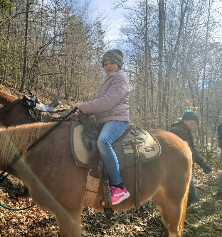 Chunky Gal Stables-Hayesville必去景点