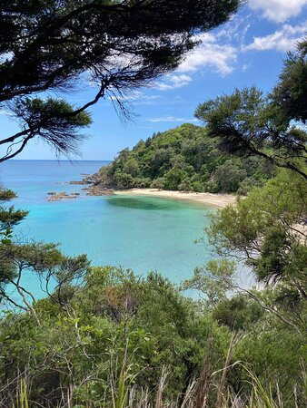Whale Bay-Matapouri必去景点