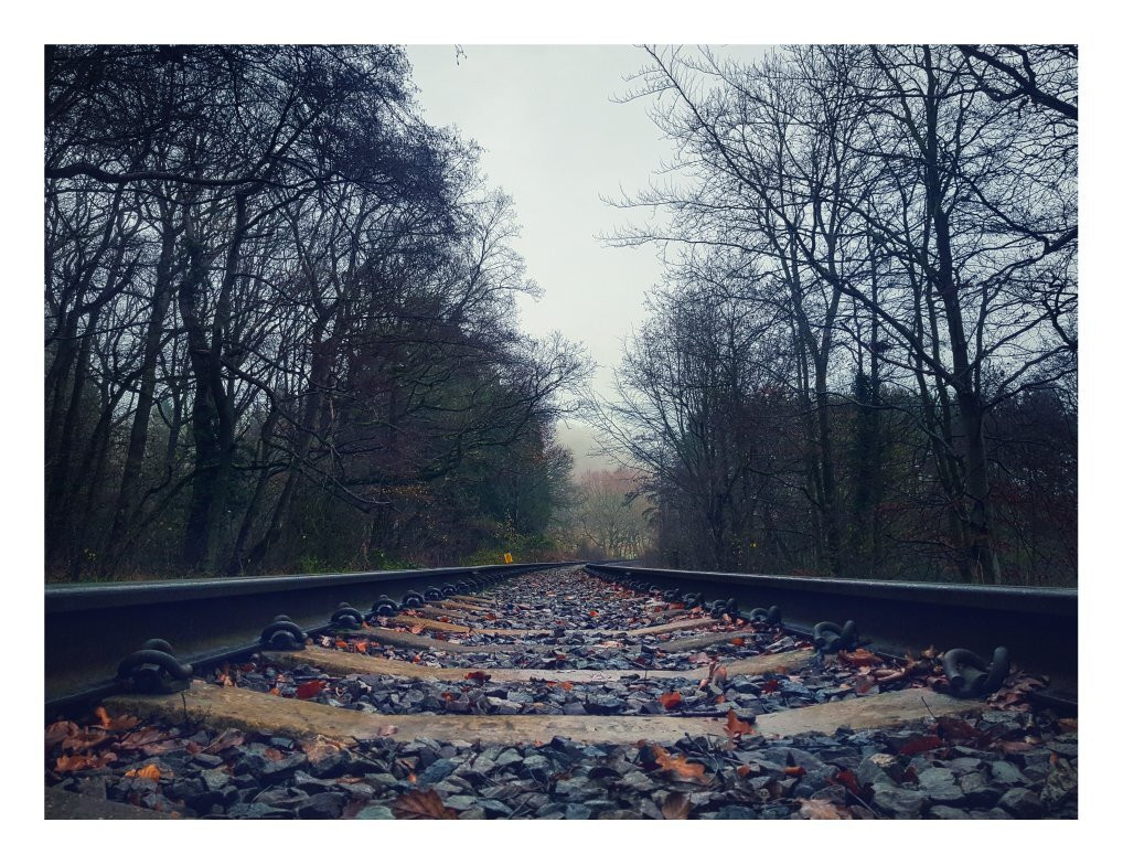 Trimpley Reservoir.-Bewdley必去景点