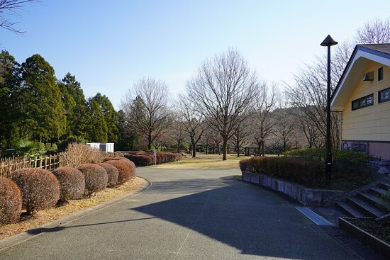 Aikawa Park景点图片