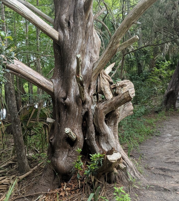 Black Bear Wilderness Area-桑福德必去景点