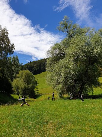 Kloster Schöenthal主图