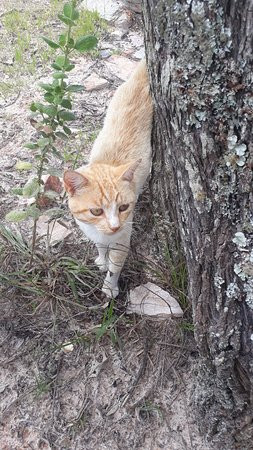Poço das Esmeraldas-Sao Thome das Letras必去景点