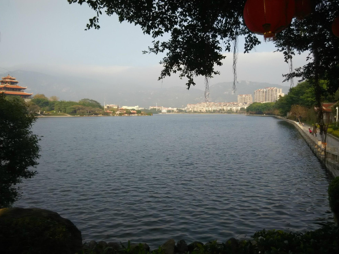 西湖公园景点图片