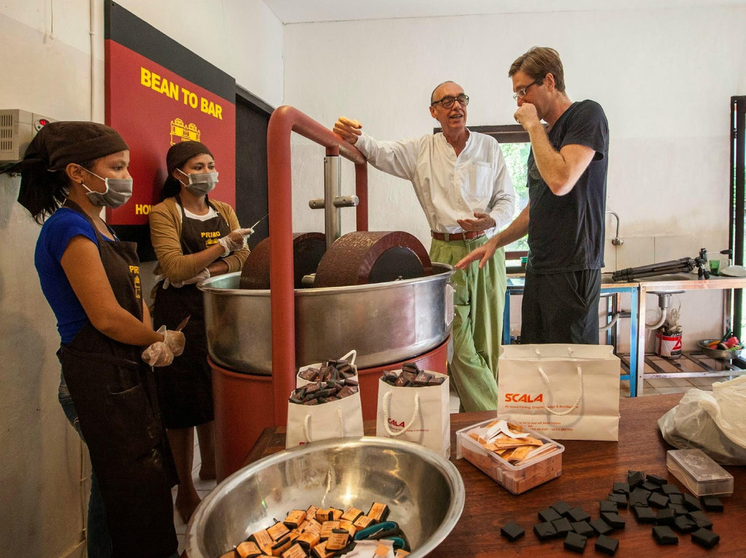 Primo Organic Chocolate Shop